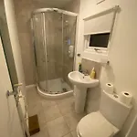 Elegant Studio