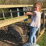 Willow Court Farm Studio East & Petting Farm, 8 Mins To Legoland & Windsor, 15 Mins To Lapland Uk