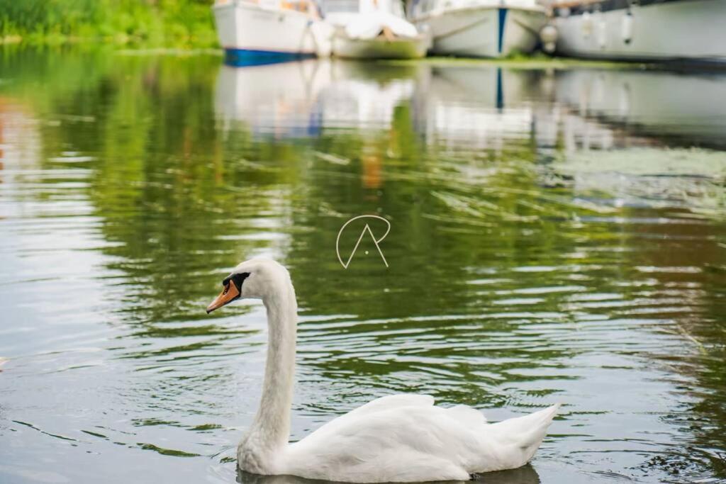 Holiday home The Old Mill House, Riverside Hidden Gem! Windsor