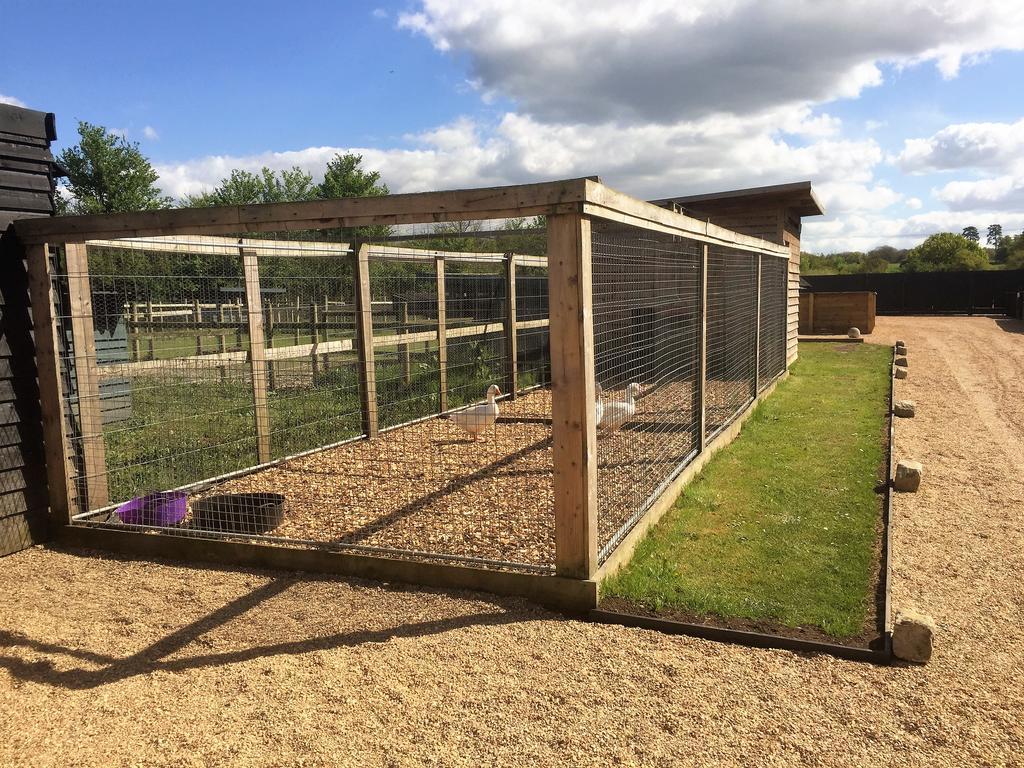Willow Court Farm The Lodge & Petting Farm, 8 Mins From Legoland & Windsor, 15 Mins From Lapland Uk *
