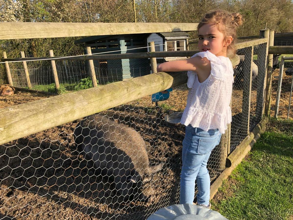 Willow Court Farm Studio West & Petting Farm, 8 Mins To Legoland & Windsor, 15 Mins To Lapland Uk