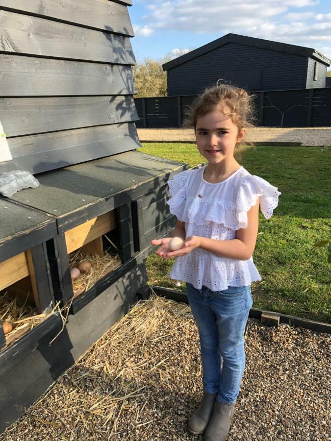 Holiday home Willow Court Farm Studio South & Petting Farm, 8 Mins From Legoland & Windsor, 15 Mins From Lapland Uk Windsor