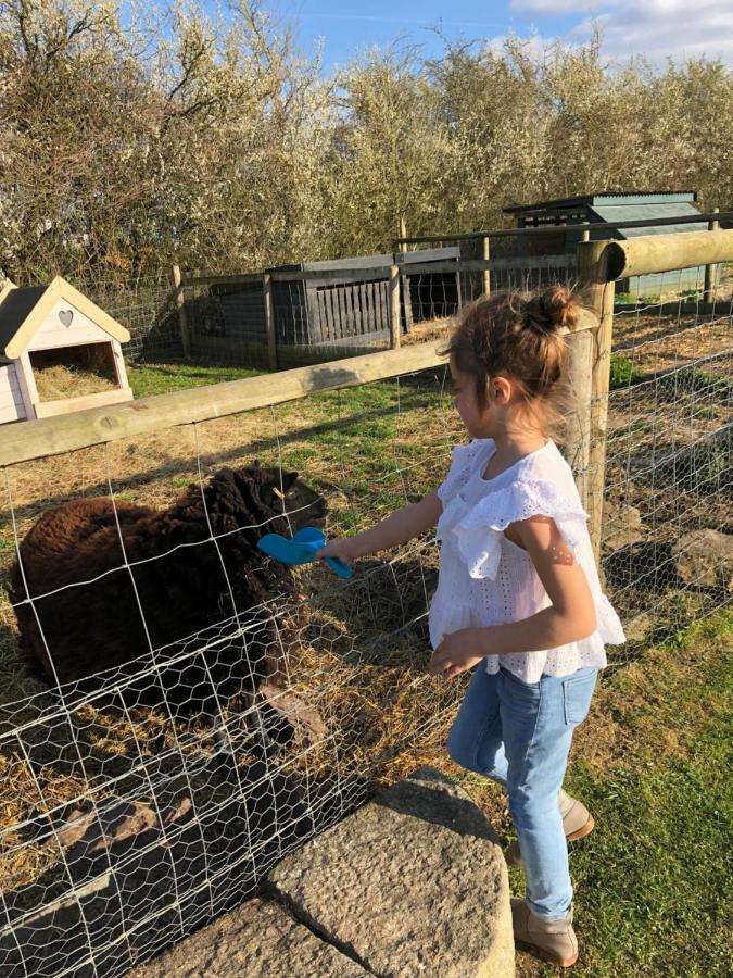 Holiday home Willow Court Farm Studio West & Petting Farm, 8 Mins To Legoland & Windsor, 15 Mins To Lapland Uk
