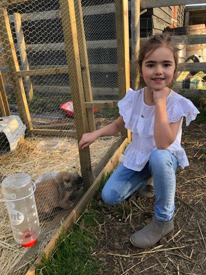 Willow Court Farm Studio West & Petting Farm, 8 Mins To Legoland & Windsor, 15 Mins To Lapland Uk