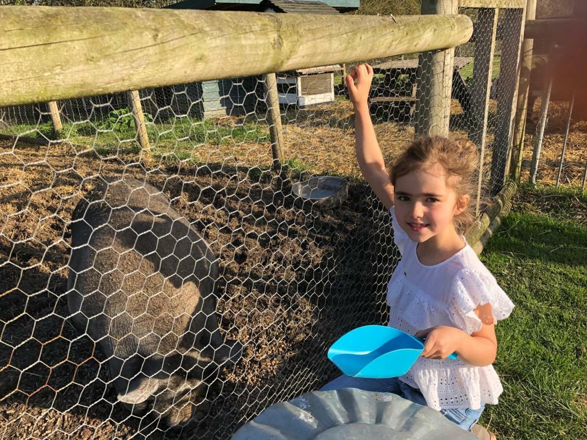 Holiday home Willow Court Farm Studio West & Petting Farm, 8 Mins To Legoland & Windsor, 15 Mins To Lapland Uk