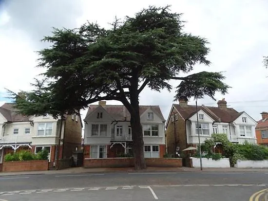 Cedar Tree Guest House