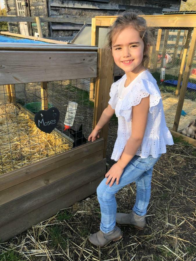 Holiday home Willow Court Farm Studio West & Petting Farm, 8 Mins To Legoland & Windsor, 15 Mins To Lapland Uk *